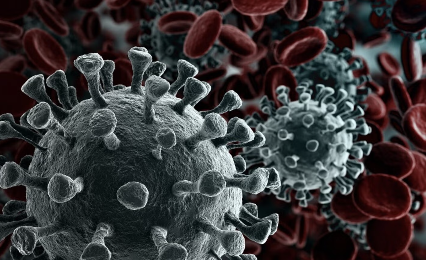 HMPV virus